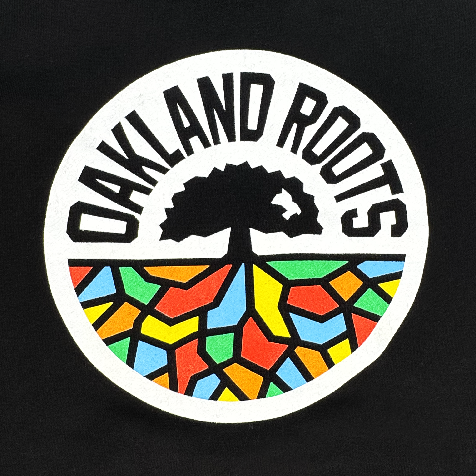 Oakland Roots SC Classic Zip Hoodie
