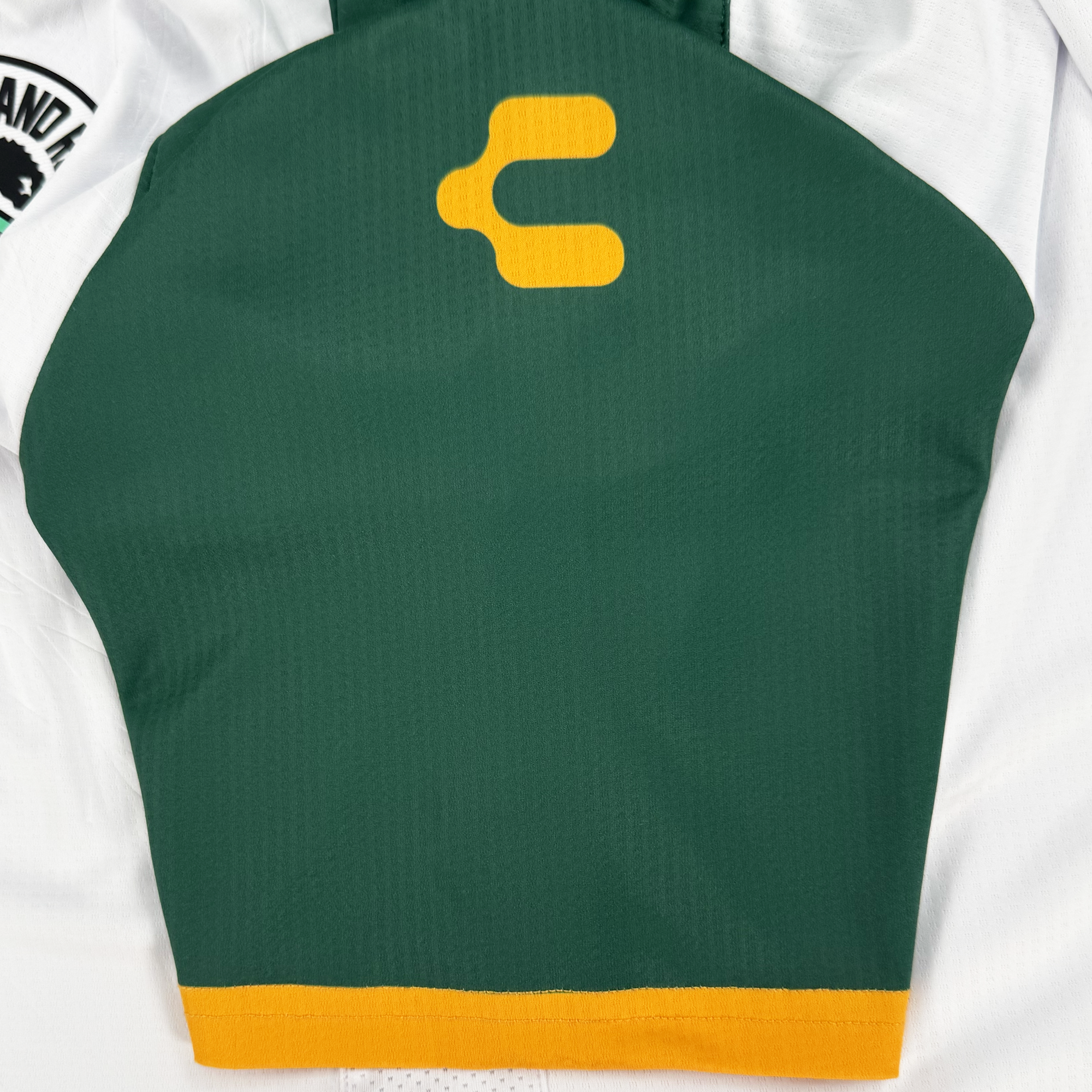Custom Unisex Oakland Roots SC 2025 Second Kit ft. Anthem Blue Cross