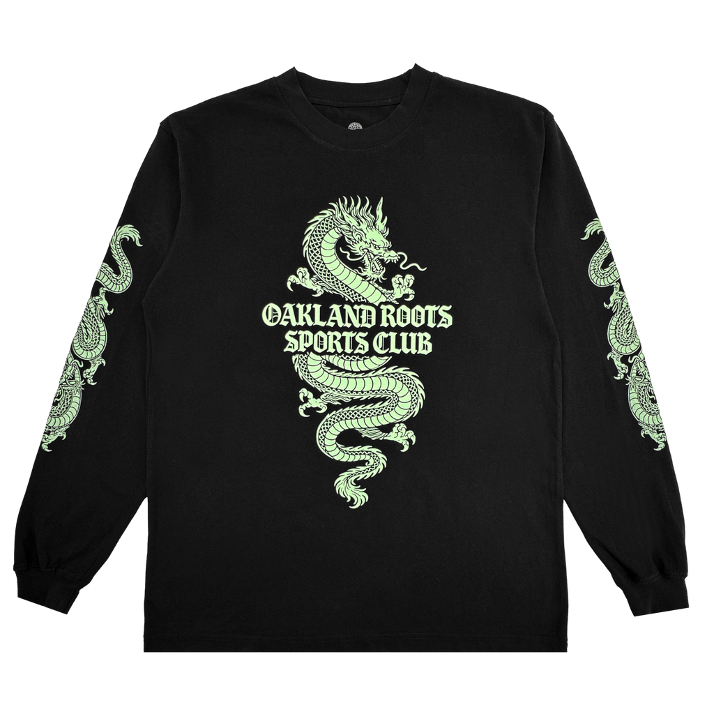 dragon_ls_front.png?v=